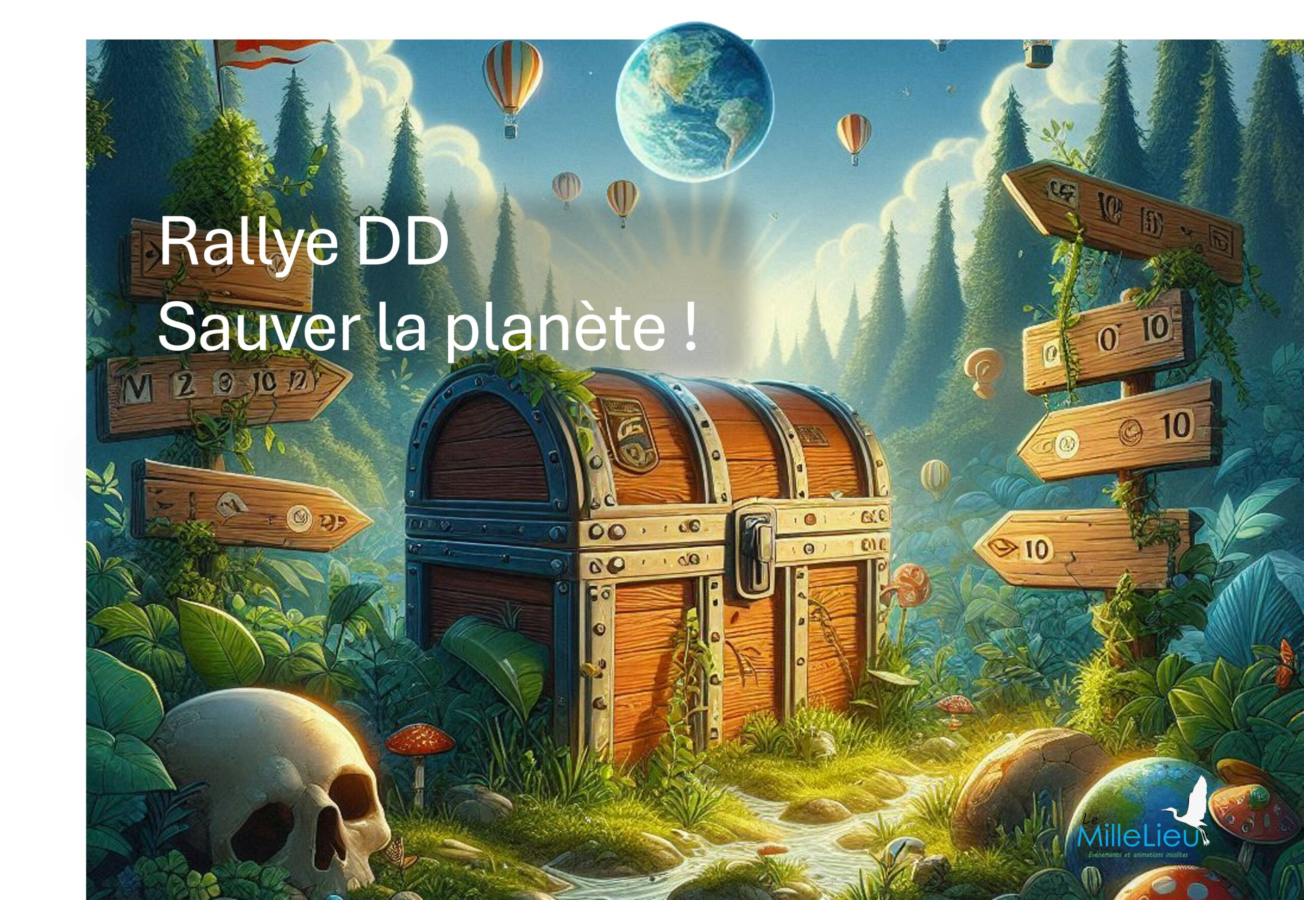 Rallye-dd-team-building