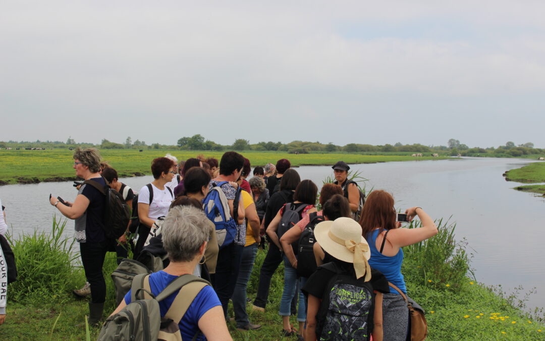 Voyage dans les marais de grand lieu
